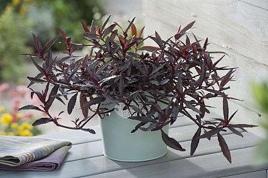 育碧将下架多款经典游戏！称其有权这么做